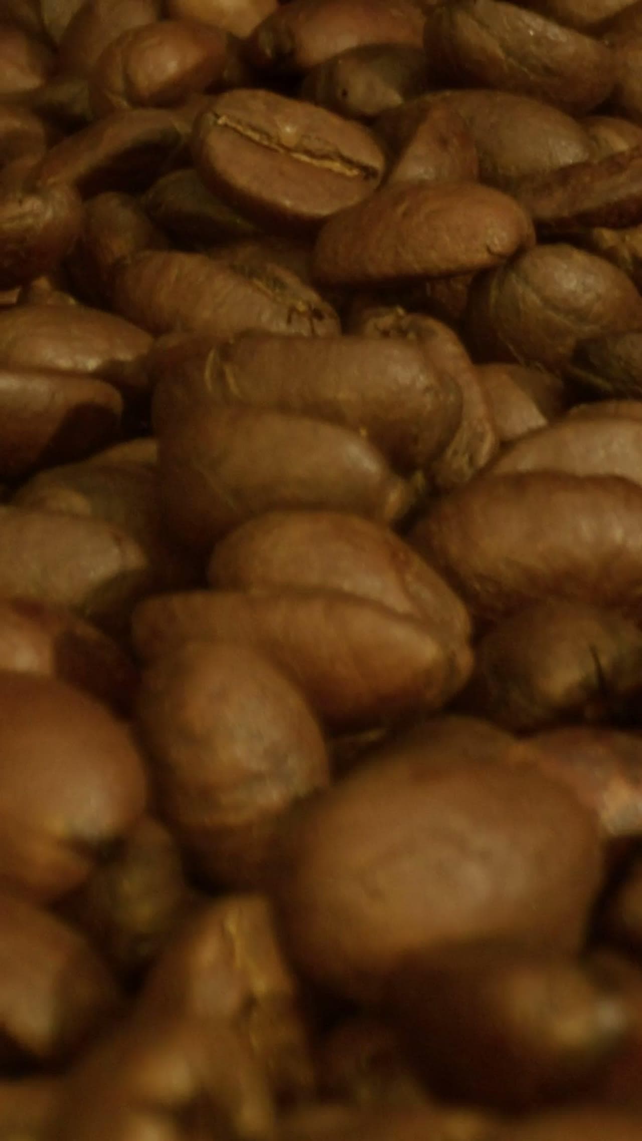 Grains verts